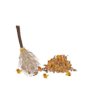 Autumn Fall（個別スタンプ：6）