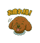 元気いっぱい！ぽぽくん（個別スタンプ：1）