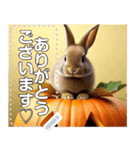 うさぎ♡ハロウィン（個別スタンプ：16）