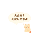 ずっと使える♡もちにゃん（個別スタンプ：11）