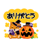 柴犬「ムサシ」63 ハロウィン（個別スタンプ：3）