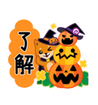 柴犬「ムサシ」63 ハロウィン（個別スタンプ：4）