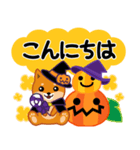 柴犬「ムサシ」63 ハロウィン（個別スタンプ：10）