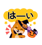 柴犬「ムサシ」63 ハロウィン（個別スタンプ：15）