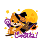 柴犬「ムサシ」63 ハロウィン（個別スタンプ：19）