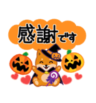 柴犬「ムサシ」63 ハロウィン（個別スタンプ：20）