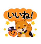 柴犬「ムサシ」63 ハロウィン（個別スタンプ：31）