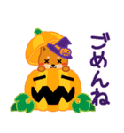 柴犬「ムサシ」63 ハロウィン（個別スタンプ：32）