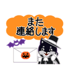 柴犬「ムサシ」63 ハロウィン（個別スタンプ：39）