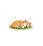 柴犬のBIG季節スタンプ（個別スタンプ：3）