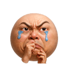 顔文字くん 10 (写実バージョン)（個別スタンプ：17）
