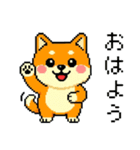 ドット絵のかわいい柴犬（個別スタンプ：1）