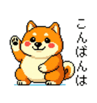 ドット絵のかわいい柴犬（個別スタンプ：3）