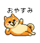 ドット絵のかわいい柴犬（個別スタンプ：4）
