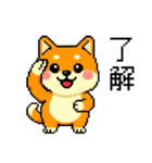 ドット絵のかわいい柴犬（個別スタンプ：5）