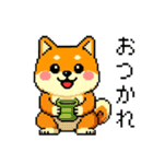 ドット絵のかわいい柴犬（個別スタンプ：6）