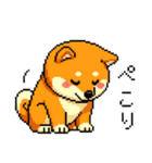 ドット絵のかわいい柴犬（個別スタンプ：7）
