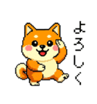 ドット絵のかわいい柴犬（個別スタンプ：8）