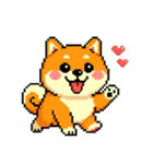 ドット絵のかわいい柴犬（個別スタンプ：9）