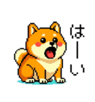 ドット絵のかわいい柴犬（個別スタンプ：10）
