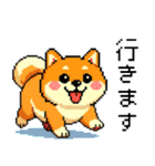 ドット絵のかわいい柴犬（個別スタンプ：11）