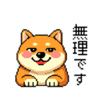 ドット絵のかわいい柴犬（個別スタンプ：12）