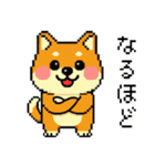 ドット絵のかわいい柴犬（個別スタンプ：15）