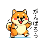 ドット絵のかわいい柴犬（個別スタンプ：16）