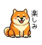 ドット絵のかわいい柴犬（個別スタンプ：17）
