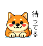 ドット絵のかわいい柴犬（個別スタンプ：18）