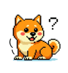 ドット絵のかわいい柴犬（個別スタンプ：19）