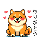ドット絵のかわいい柴犬（個別スタンプ：21）