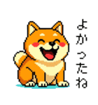 ドット絵のかわいい柴犬（個別スタンプ：24）