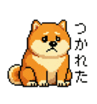 ドット絵のかわいい柴犬（個別スタンプ：29）