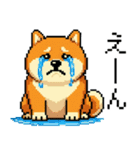 ドット絵のかわいい柴犬（個別スタンプ：31）