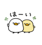使いやすい＊しろいトリ＆きいろのトリ＊秋（個別スタンプ：14）