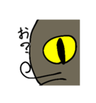 おしゃべりがすぎる猫（個別スタンプ：12）