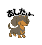 ミニチュアダックス 日常スタンプ第3弾（個別スタンプ：3）