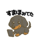 ミニチュアダックス 日常スタンプ第3弾（個別スタンプ：8）
