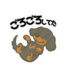 ミニチュアダックス 日常スタンプ第3弾（個別スタンプ：11）