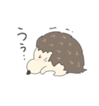 ゆる〜いハリネズミさん（個別スタンプ：1）
