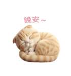 【繁體字】 スコティッシュ スタンプ 2（個別スタンプ：11）