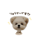 トックくん☆mix（個別スタンプ：1）