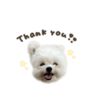 トックくん☆mix（個別スタンプ：7）