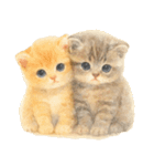 優しい水彩♡にゃんこ（個別スタンプ：1）
