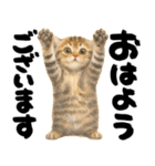 優しい水彩♡にゃんこ（個別スタンプ：3）