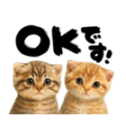 優しい水彩♡にゃんこ（個別スタンプ：5）