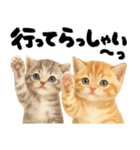 優しい水彩♡にゃんこ（個別スタンプ：10）
