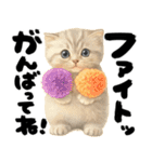 優しい水彩♡にゃんこ（個別スタンプ：11）