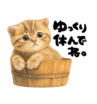 優しい水彩♡にゃんこ（個別スタンプ：14）
